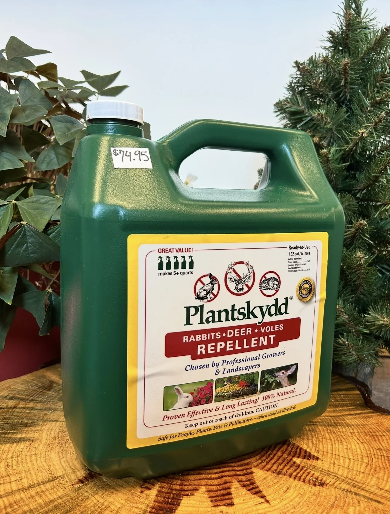 Terra-Sorba Root Gel — Mecosta CD